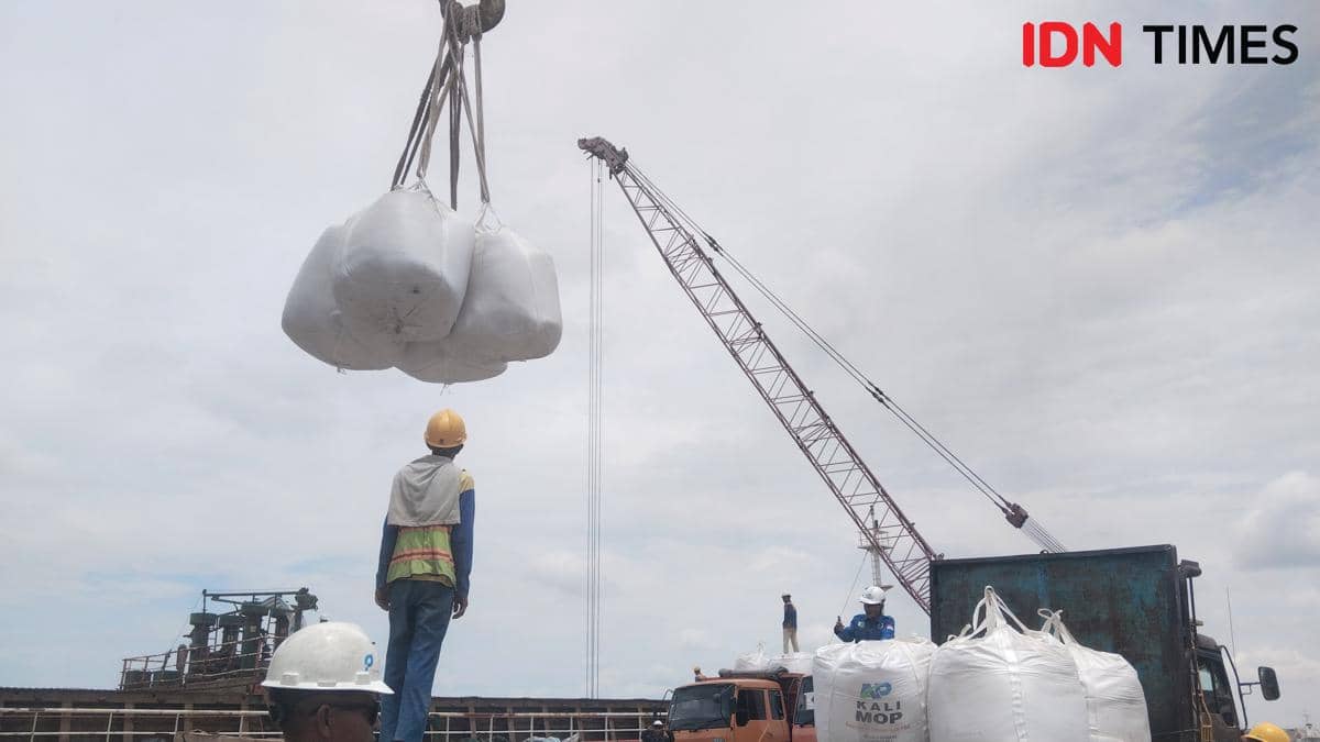 Aktivitas bongkar muat PTP Nonpetikemas Palembang