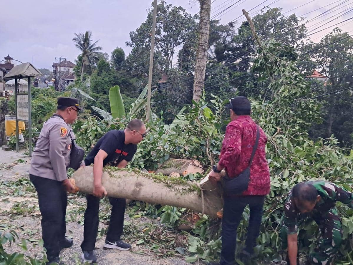 Tanah Tergerus, Jalan di Perbatasan Kukuh-Belayu Tabanan Terancam Putus