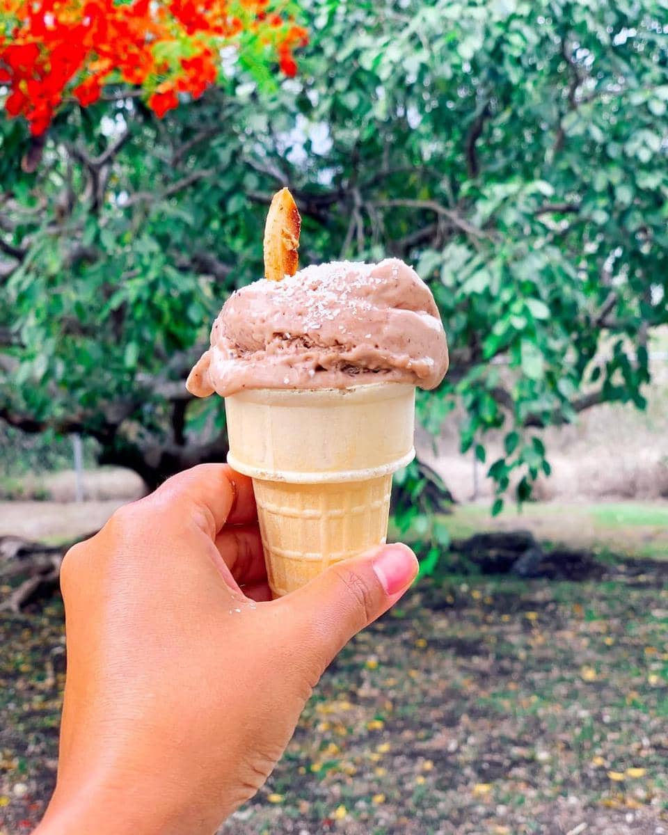 Potret olahan tempe karya Putri Gremmer