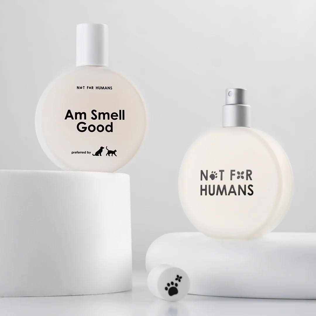 Not For Humans Am Smell Good 50 ml