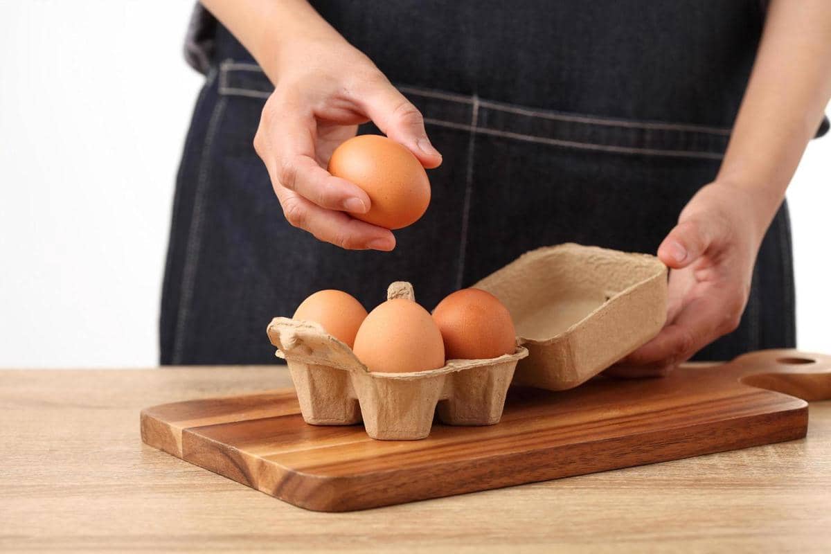 ilustrasi telur