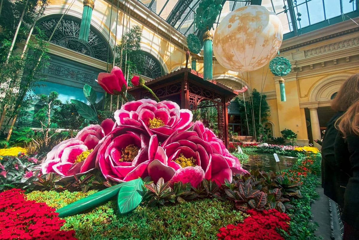 ilustrasi menikmati keindahan dekorasi Bellagio Garden Las Vegas 