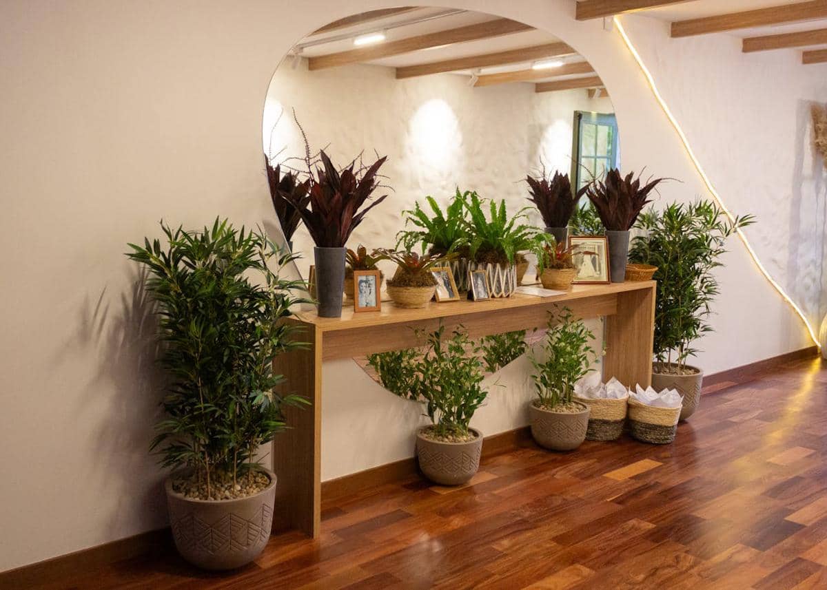 ilustrasi tanaman di depan kaca