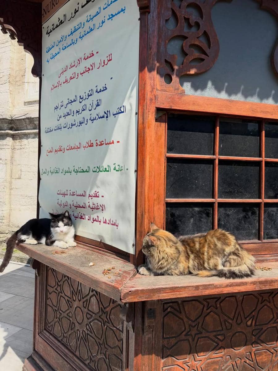 RIa Ricis berlibur di Turki