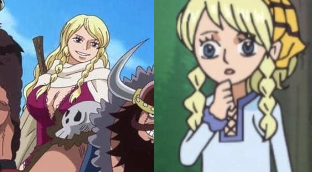 6 Fakta Menarik Gerd, Dokternya Kelompok Hajrudin One Piece!