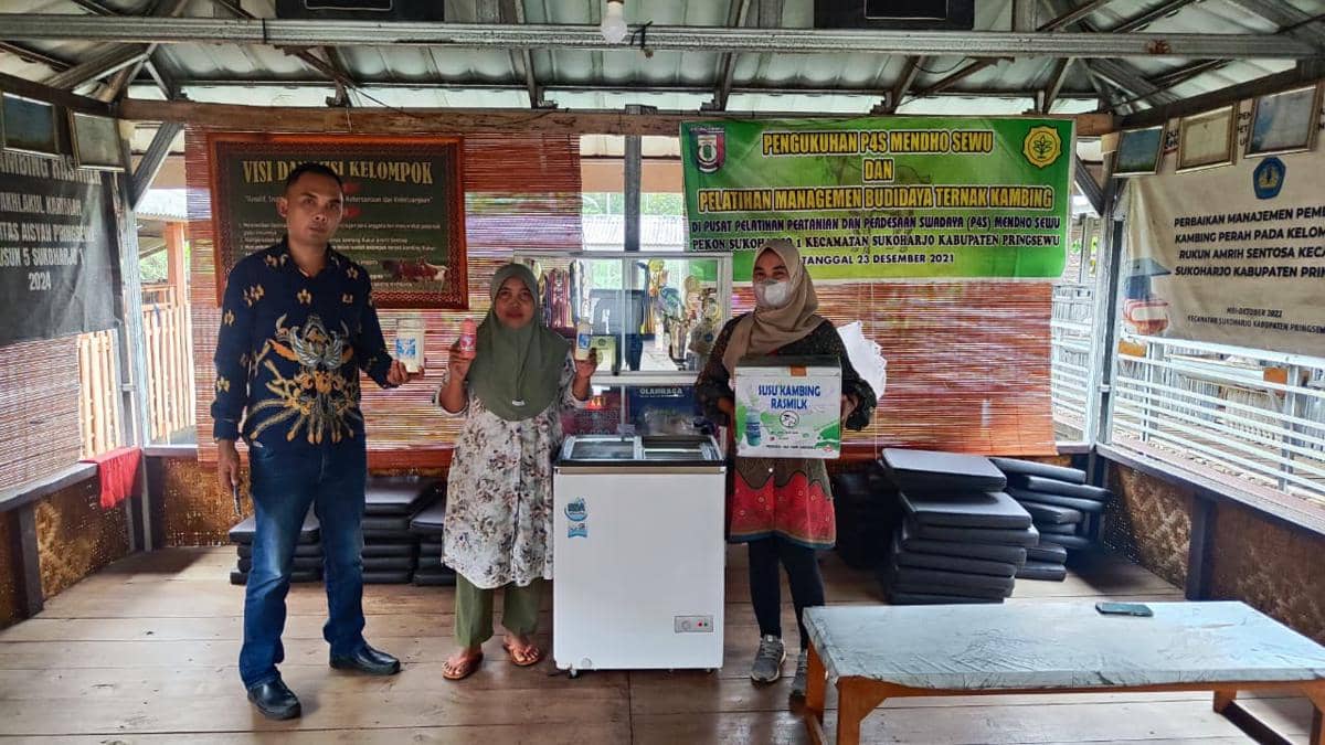 Lewat Dukungan KUR BRI, UMKM Susu Kambing Ras Farm Tumbuh Pesat