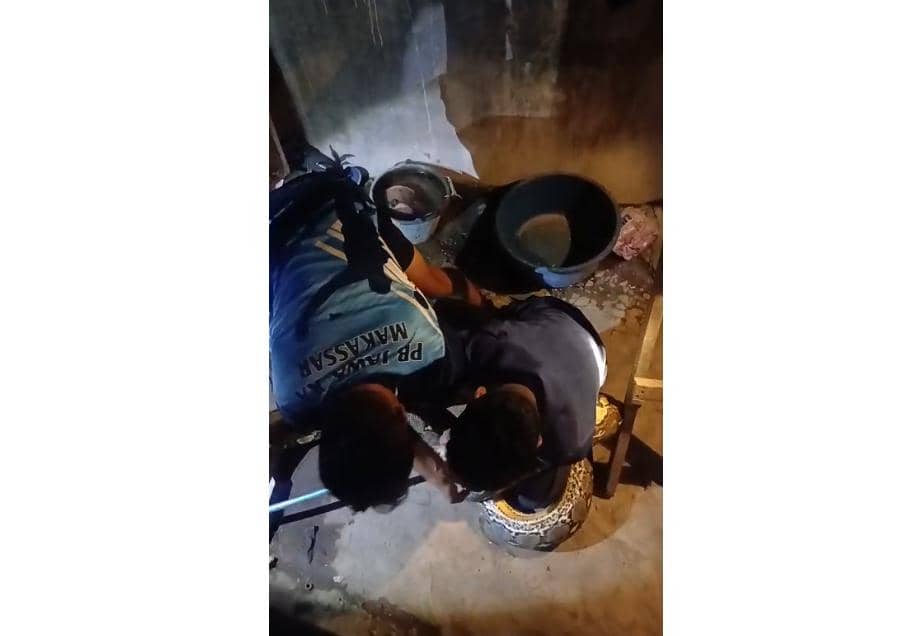 Petugas Pemadam Kebakaran Makassar mengevakuasi seekor ular sanca yang bersembunyi di kolong rumah warga. (Dok. Dinas Damkarmat Makassar)