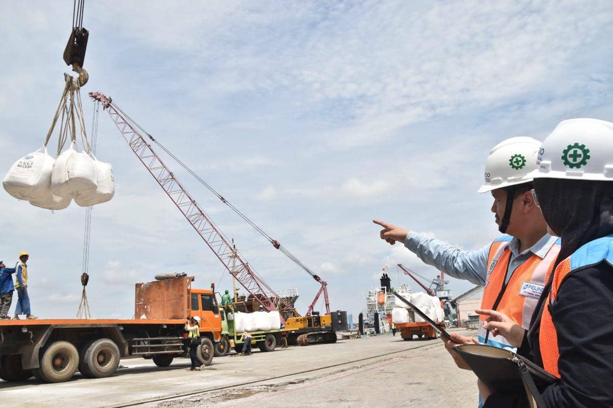 PT Pelabuhan Tanjung Priok Cabang Palembang (Dok. (PTP Nonpetikemas) 
