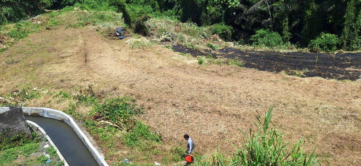 Sawah Petani di Klungkung Dikaveling, Khawatir Alih Fungsi Lahan