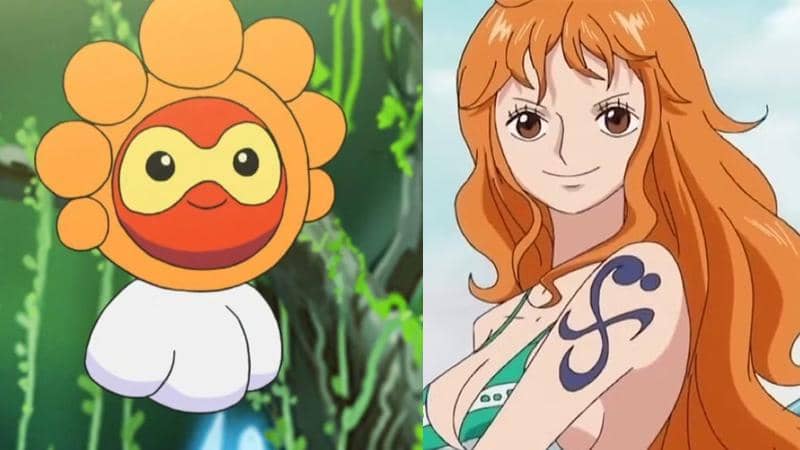 Nami-dan-Castform.jpg