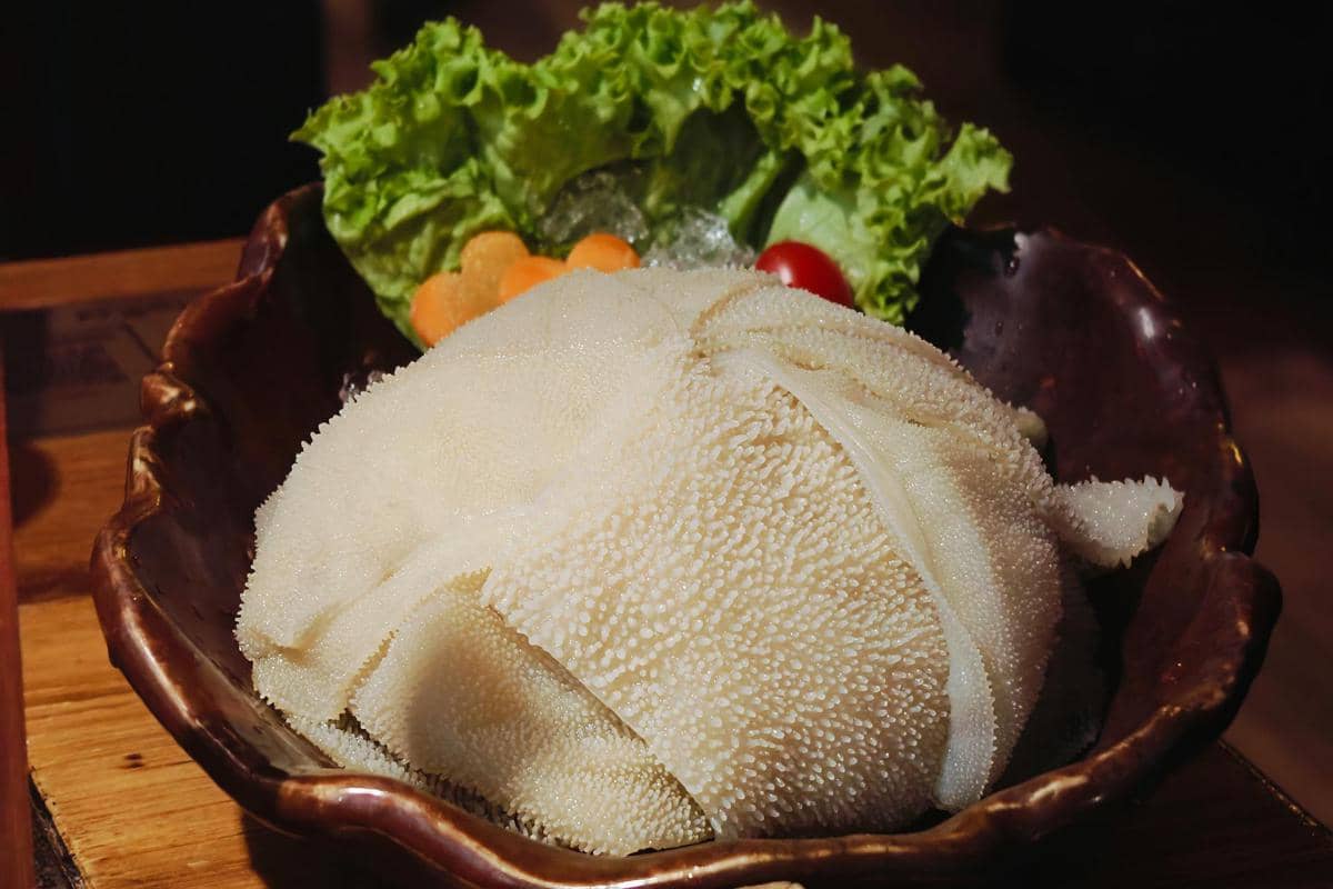 ilustrasi babat sapi