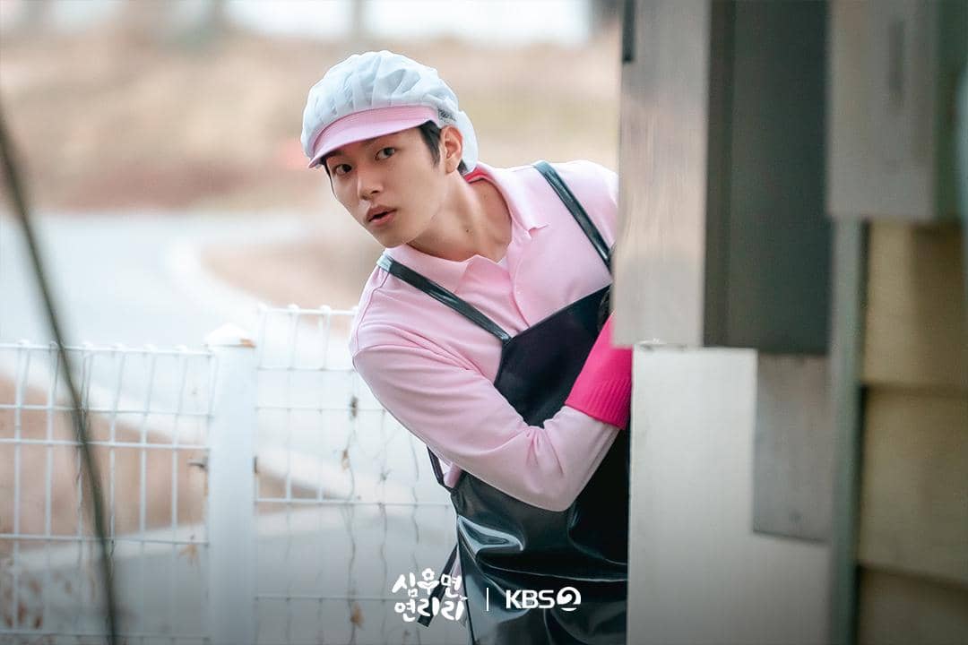 still cuts Cabbage Your Life