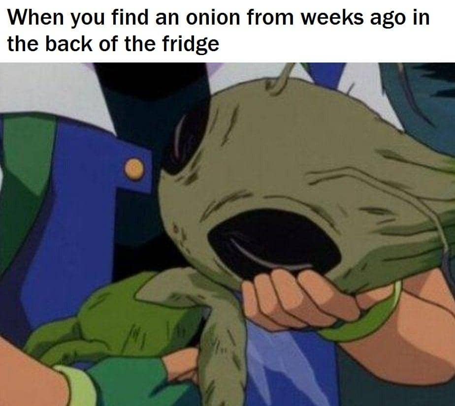 meme anime tentang bawang