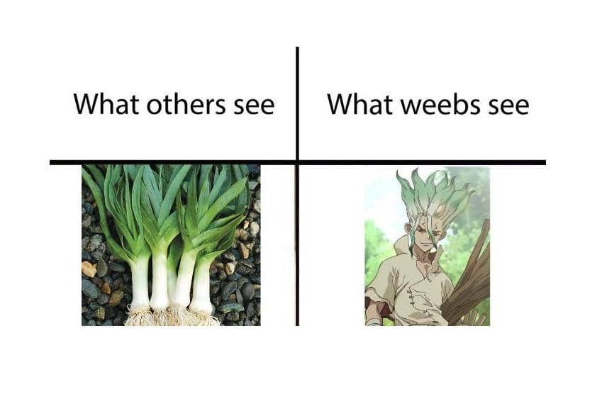 8 Meme Anime tentang Bawang, Senku Malah Kena Roasting