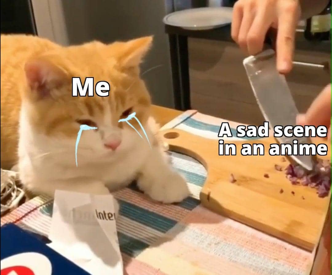 meme anime tentang bawang