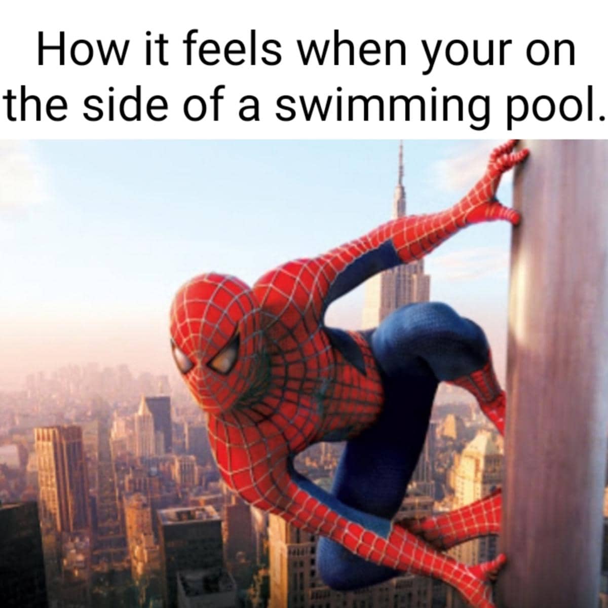 meme kartun tentang kolam renang