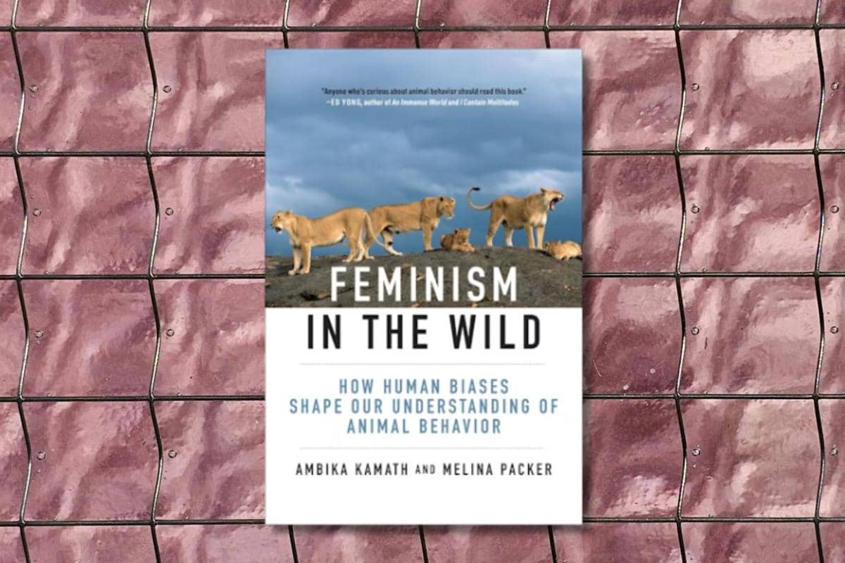 Feminism in the Wild karya Ambika Kamath dan Melina Packer
