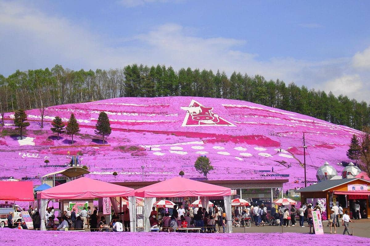 Higashimokoto Shibazakura Park, Hokkaido