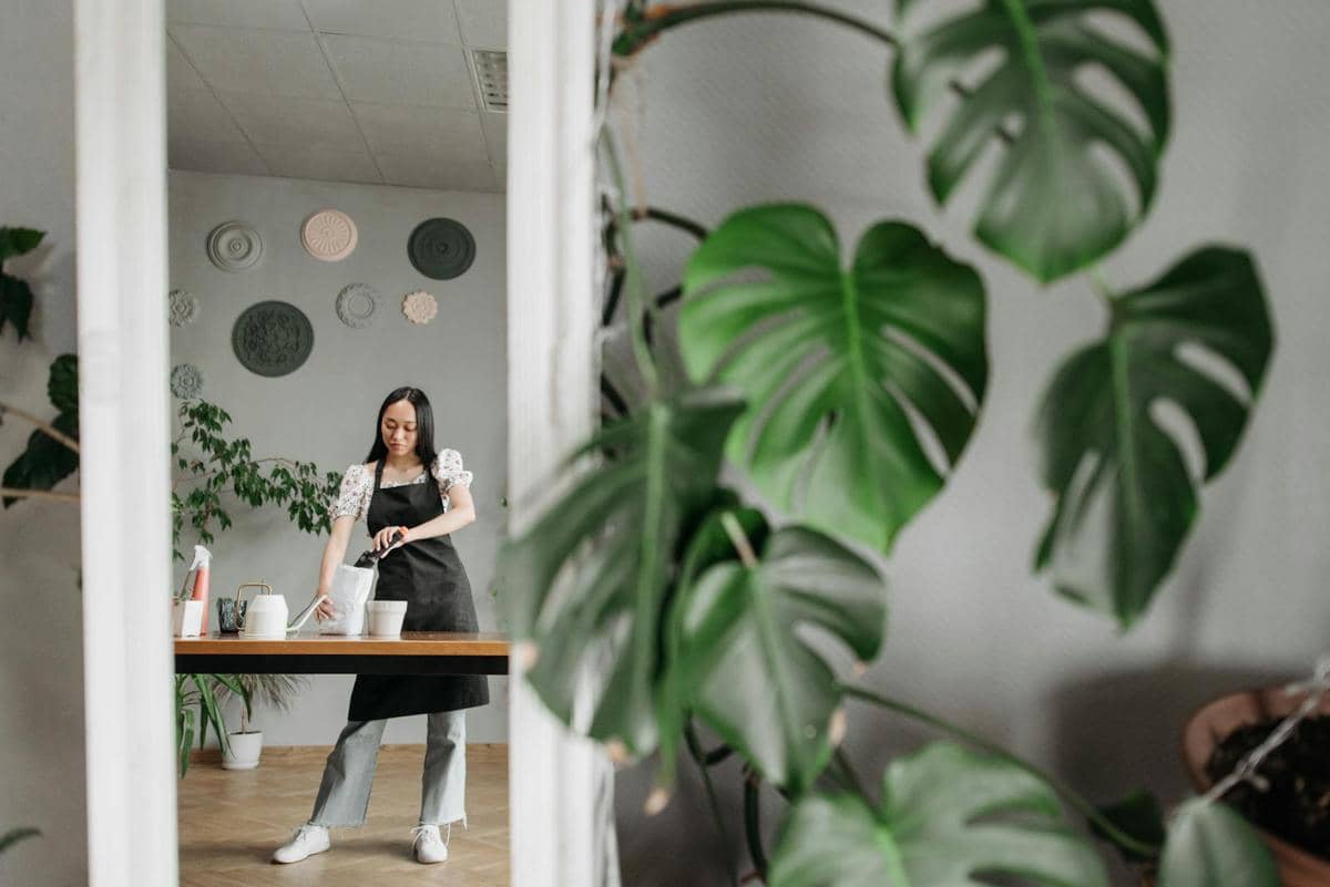 ilustrasi tanaman hias