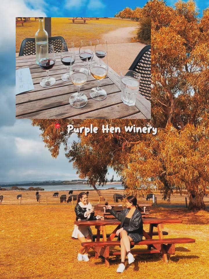 Karin Novilda liburan di Phillip Island