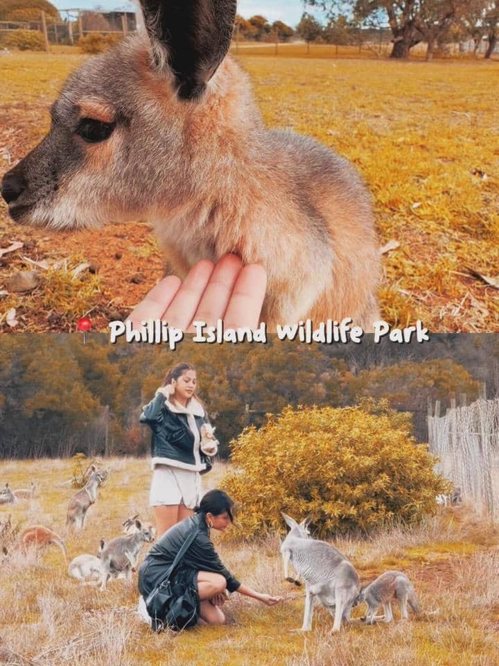 Karin Novilda liburan di Phillip Island
