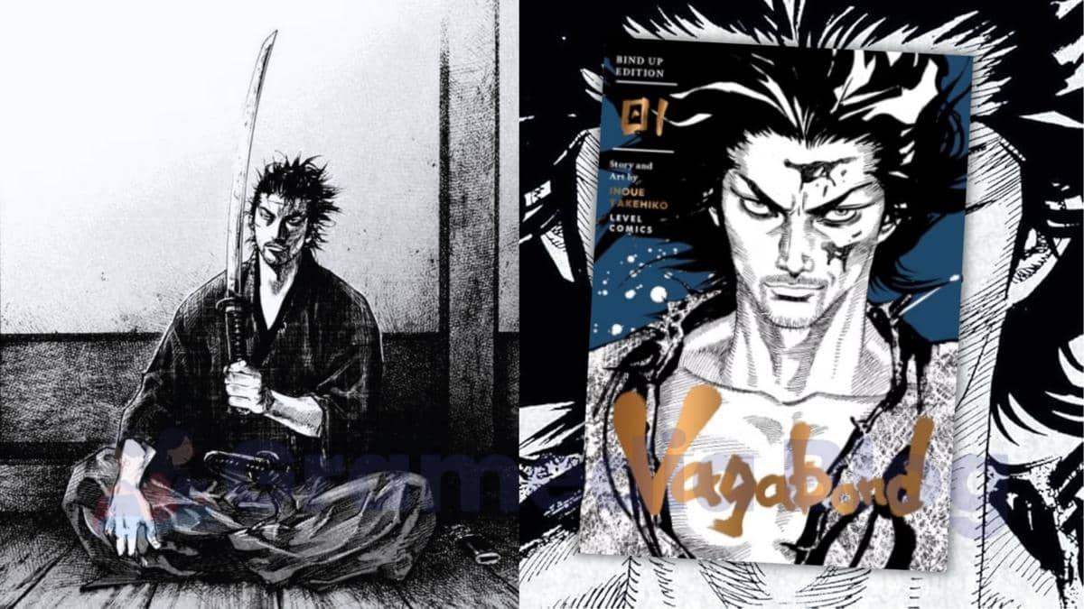 Vagabond (gramedia.com)