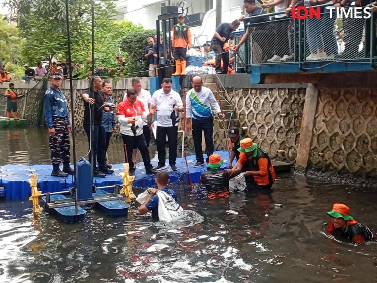 Pramono Beri Warning, Ikan Sapu-sapu Kuasai 60 Persen Perairan Jakarta