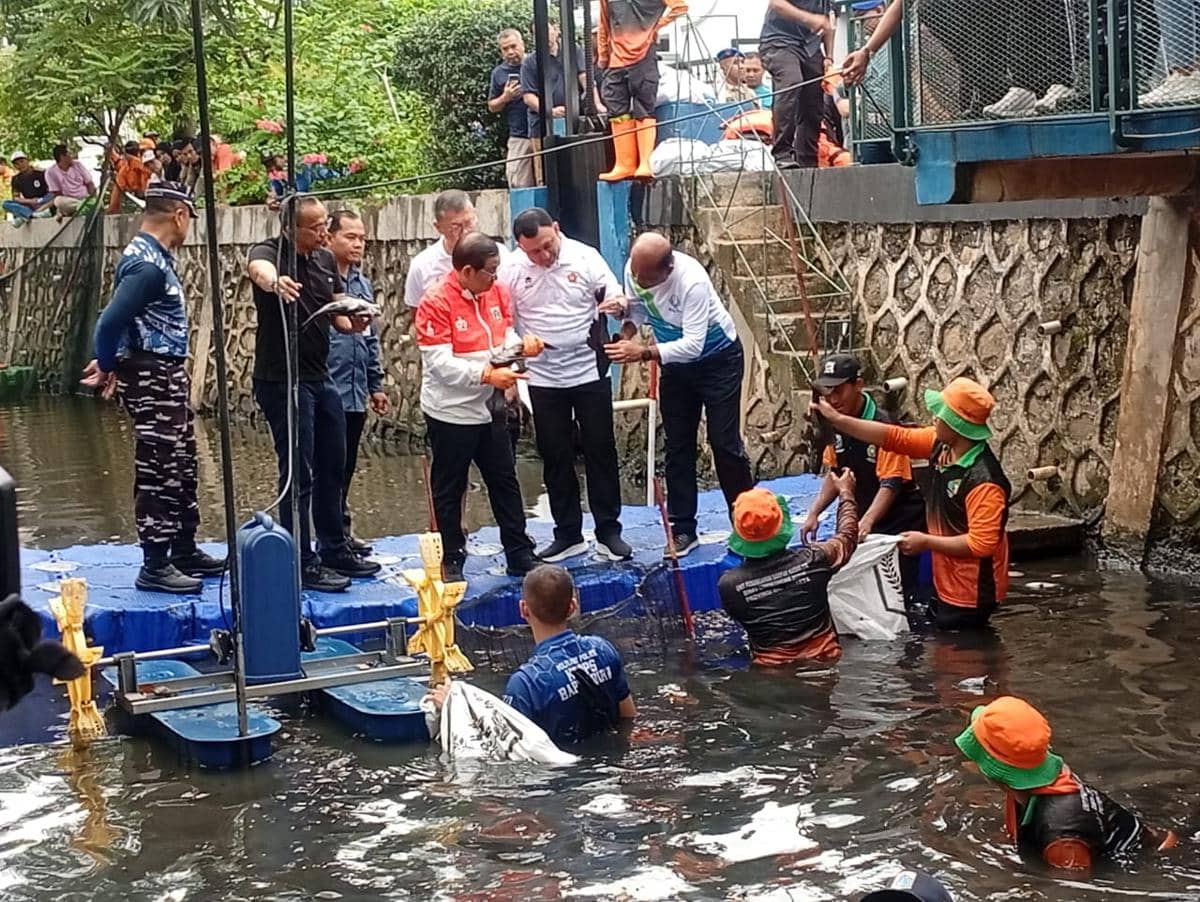 Gubernur DKI Jakarta Pramono Anung memimpin pemberantasan ikan sapu-sapu di Jakarta Utara, Jumat (17/4/2026). 
