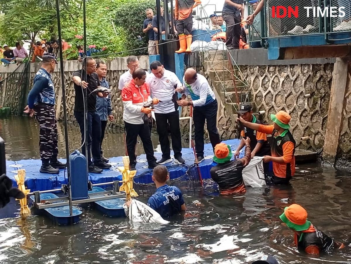 5 Fakta Penangkapan Ikan Sapu-Sapu di Jakarta, Total Dapat 6,9 Ton