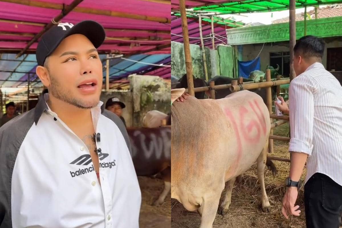 7 Potret Ivan Gunawan Beli Sapi untuk Kurban Idul Adha 2026
