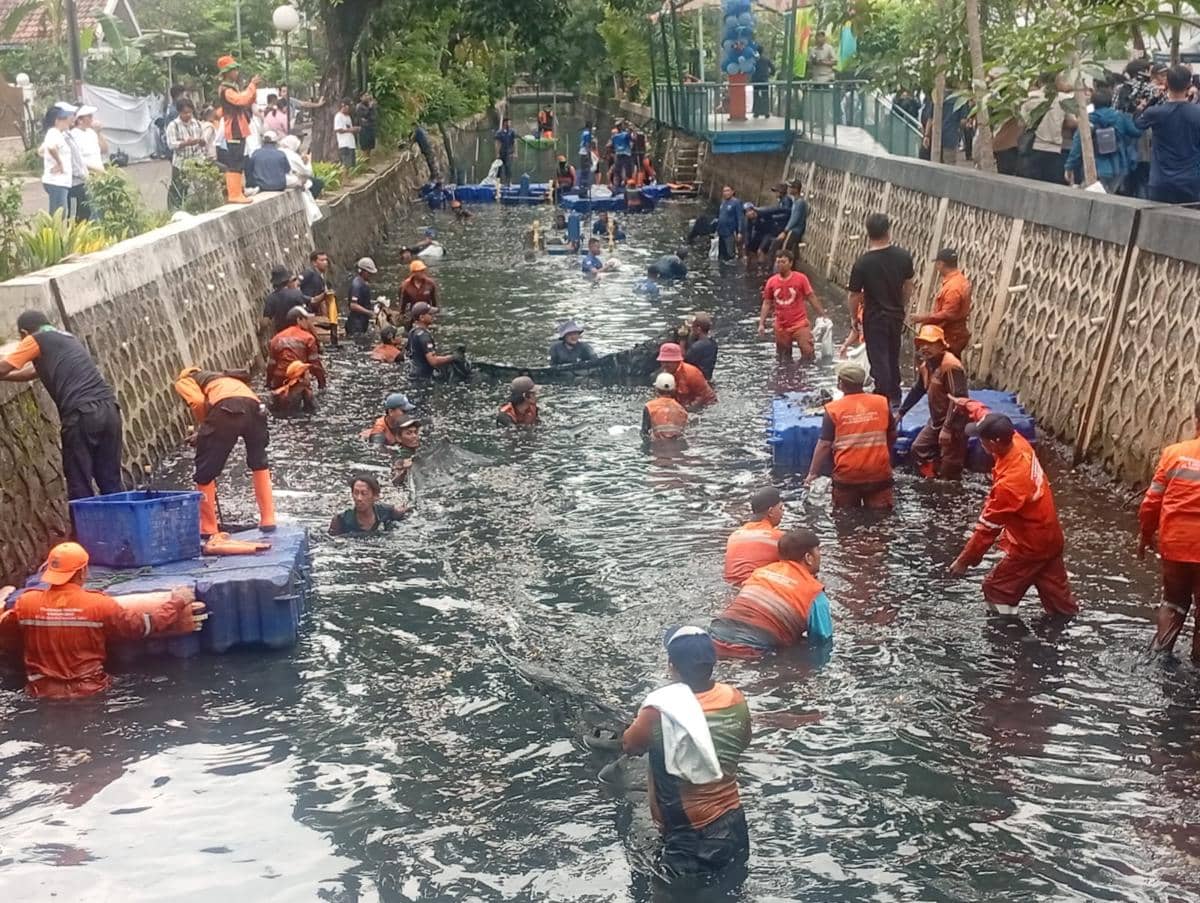 Gubernur DKI Jakarta Pramono Anung memimpin pemberantasan ikan sapu-sapu di Jakarta Utara, Jumat (17/4/2026). 
