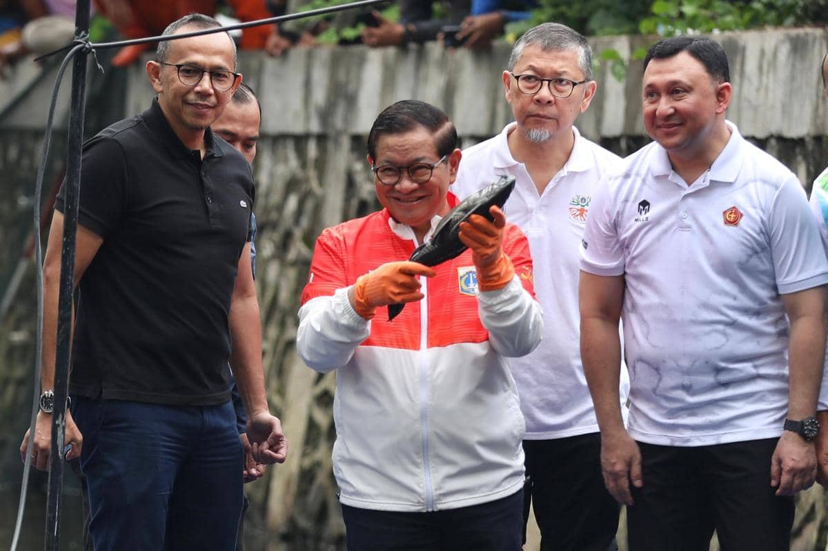 Pemprov DKI Tangkap 6,9 Ton Ikan Sapu-Sapu, Jaksel Paling Banyak