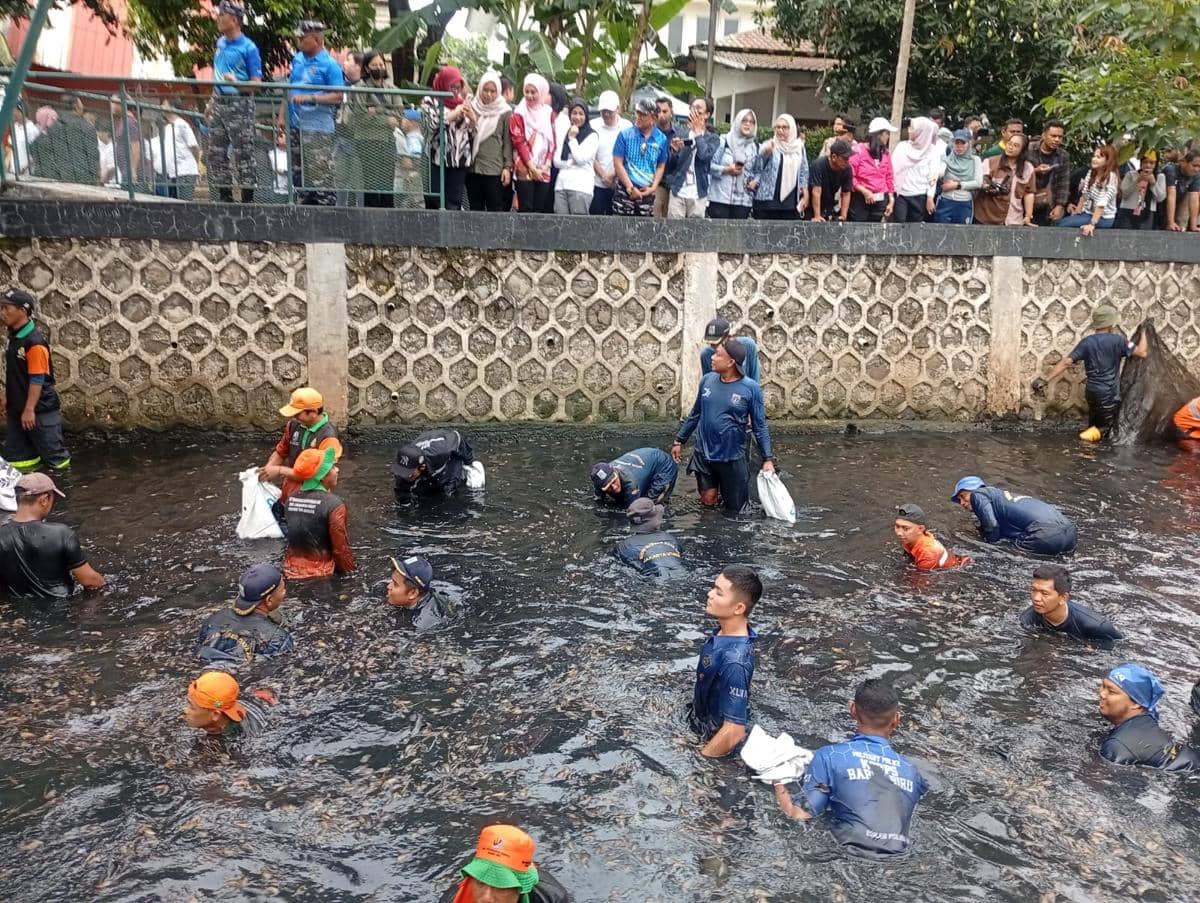 Gubernur DKI Jakarta Pramono Anung memimpin pemberantasan ikan sapu-sapu di Jakarta Utara, Jumat (17/4/2026). 