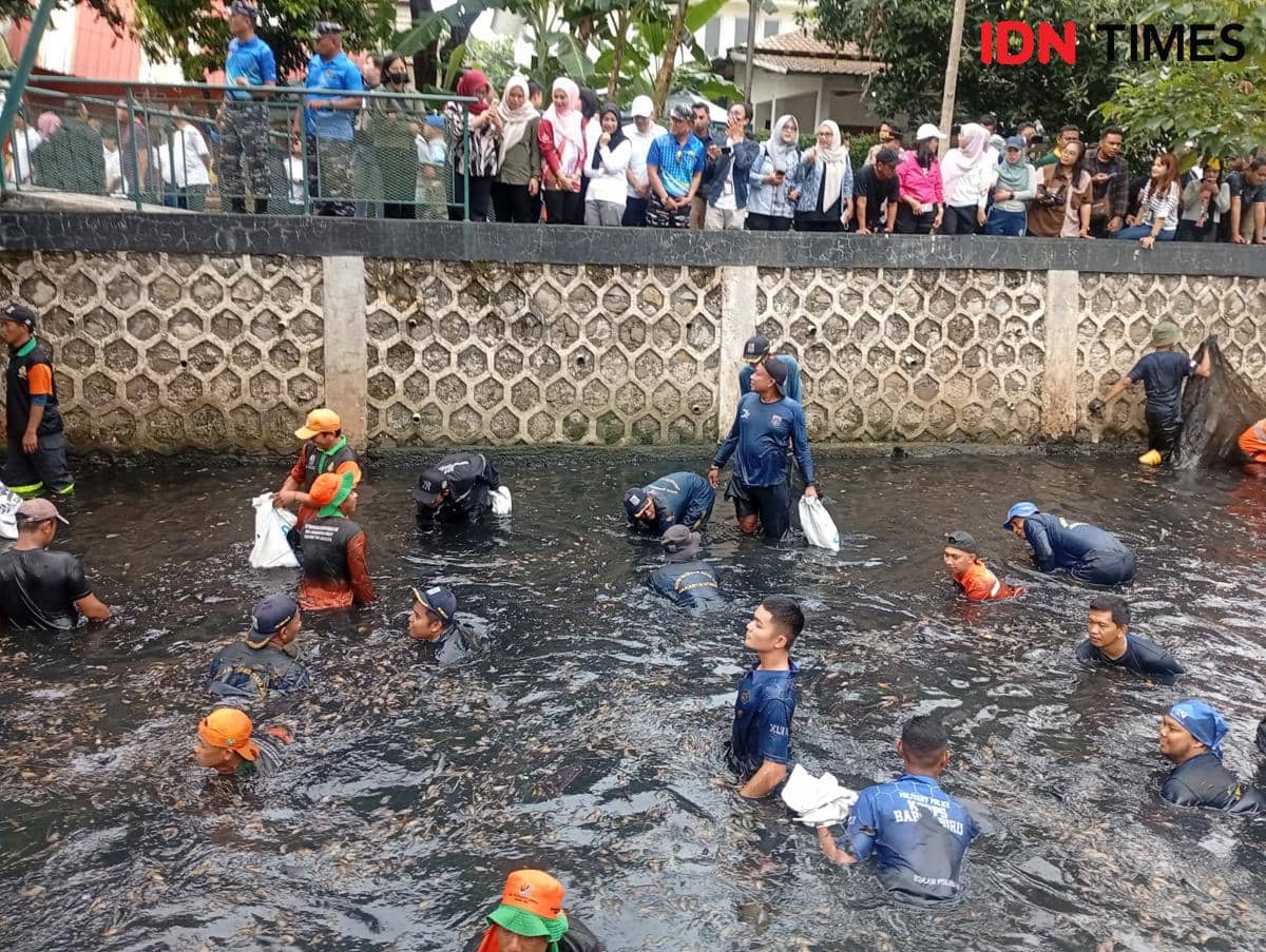 Gubernur DKI Jakarta Pramono Anung memimpin pemberantasan ikan sapu-sapu di Jakarta Utara, Jumat (17/4/2026). 
