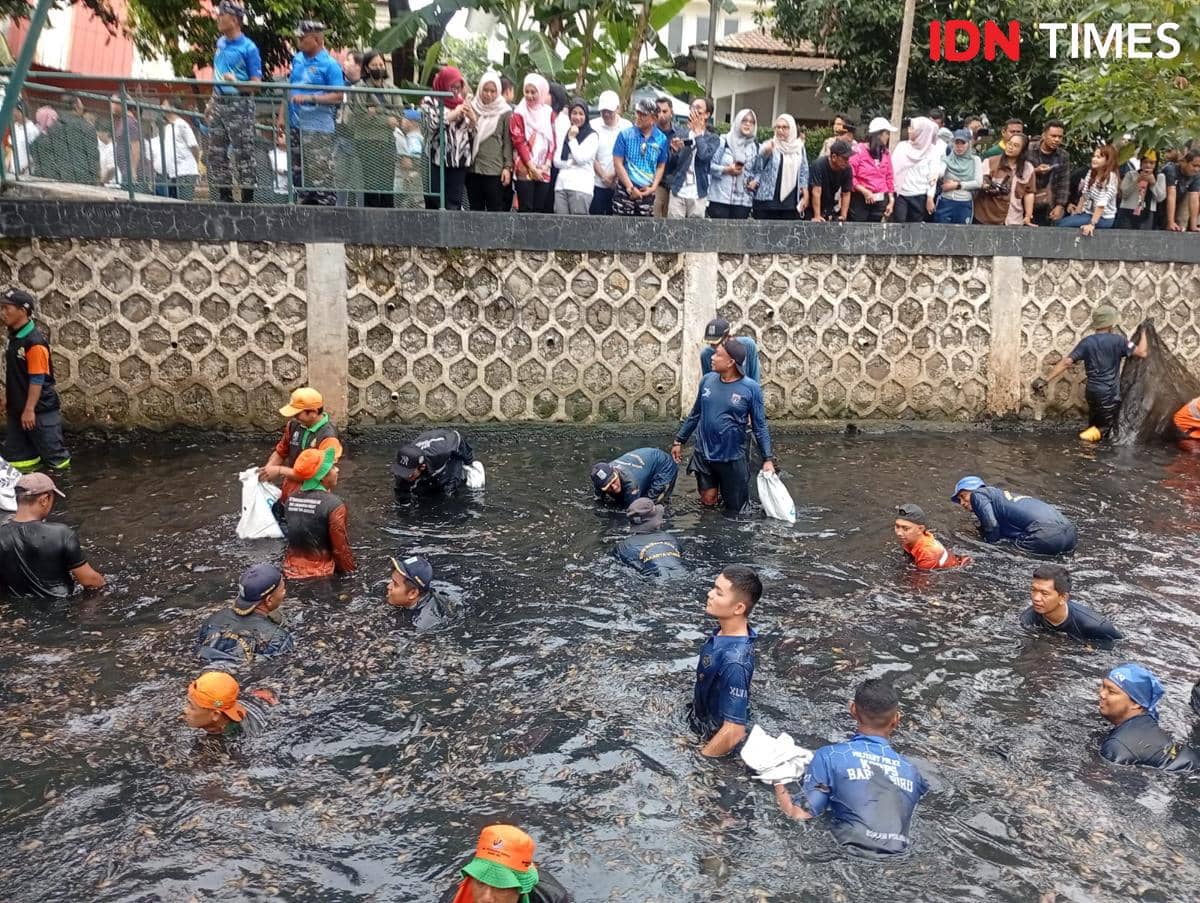Ilustrasi kolaborasi antara petugas dan masyarakat saat menangkap ikan sapu-sapu (IDN Times Dini Suciatiningrum)