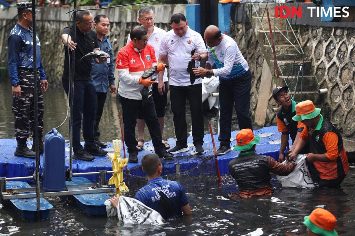 KKP Akan Revisi Aturan untuk Kendalikan Ikan Sapu-sapu 