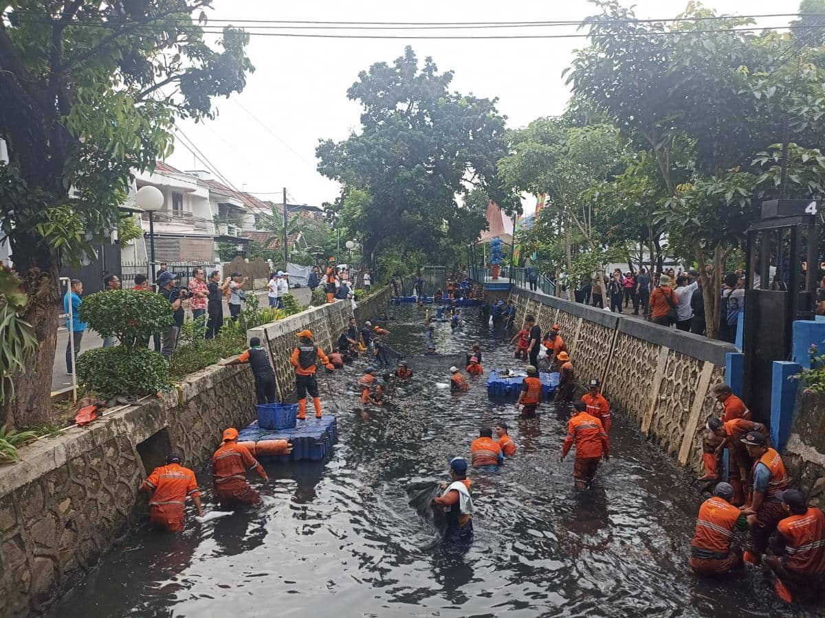 Gubernur DKI Jakarta Pramono Anung memimpin pemberantasan ikan sapu-sapu di Jakarta Utara, Jumat (17/4/2026). 