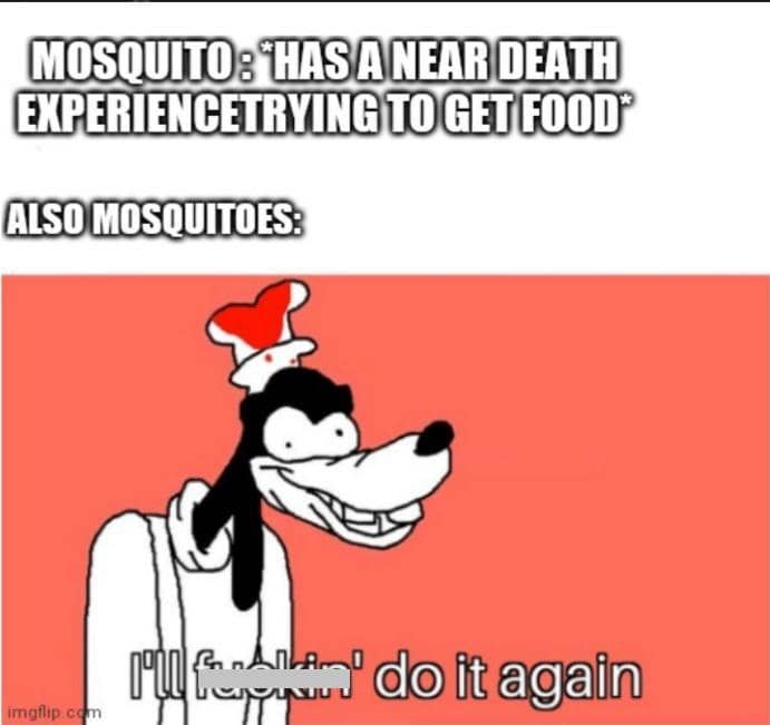 meme kartun tentang nyamuk