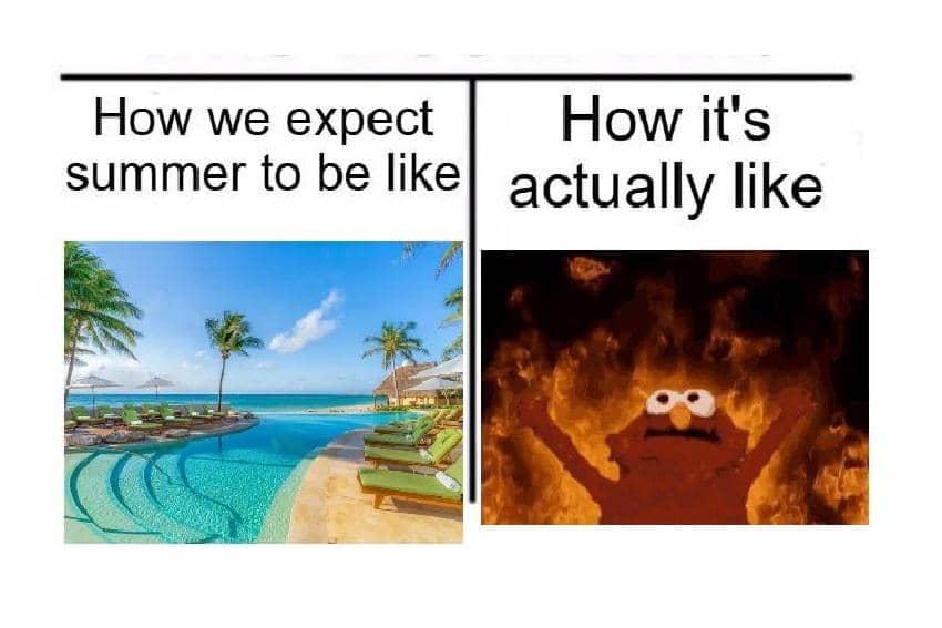 8 Meme Kartun tentang Musim Panas, Gerah Betul!