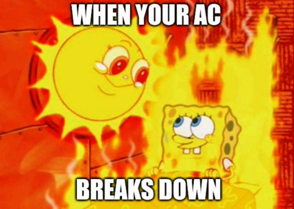 meme kartun tentang musim panas