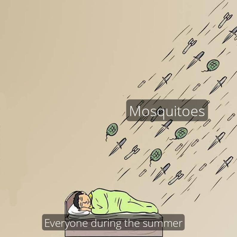meme kartun tentang nyamuk