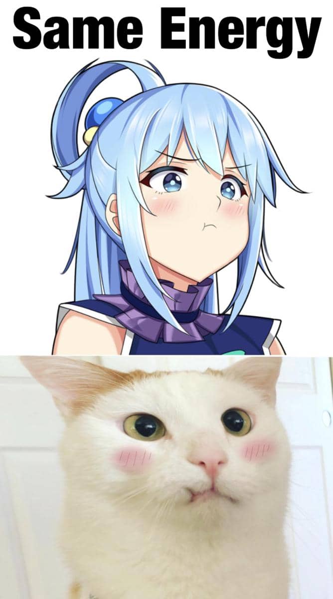 meme anime sefrekuensi dengan hal lain