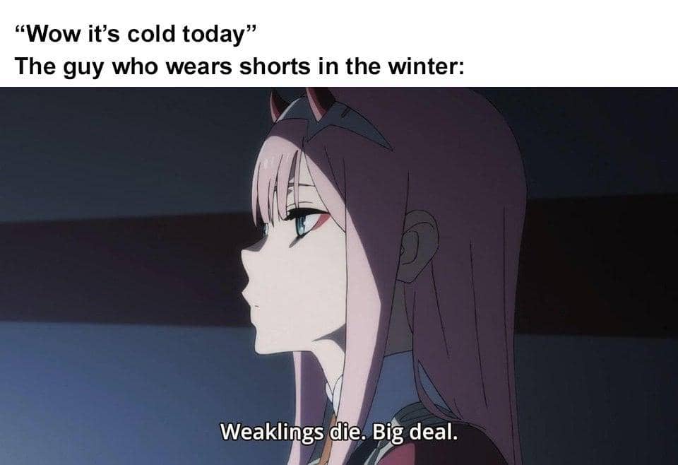 meme anime tentang temperatur