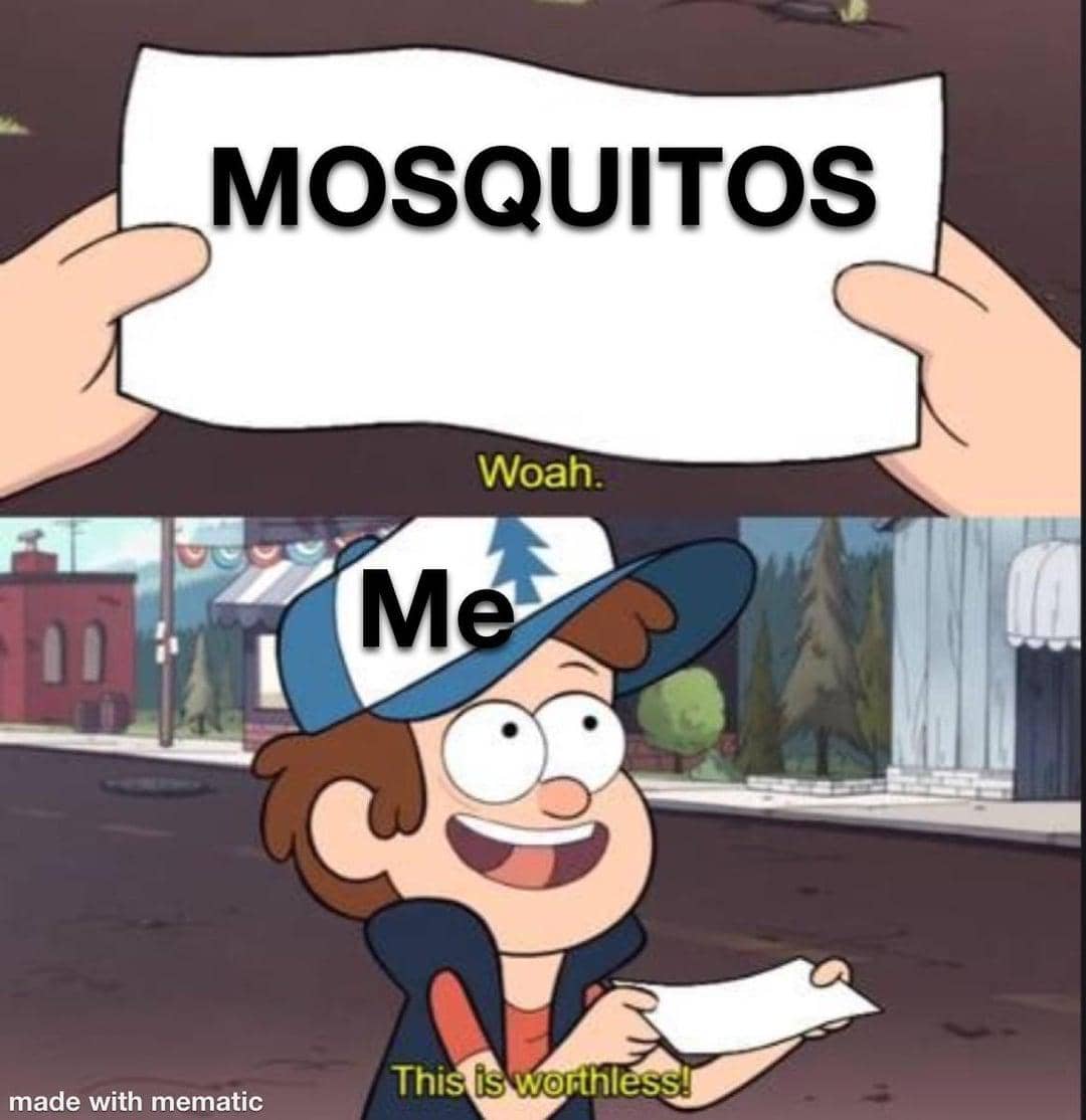 meme kartun tentang nyamuk