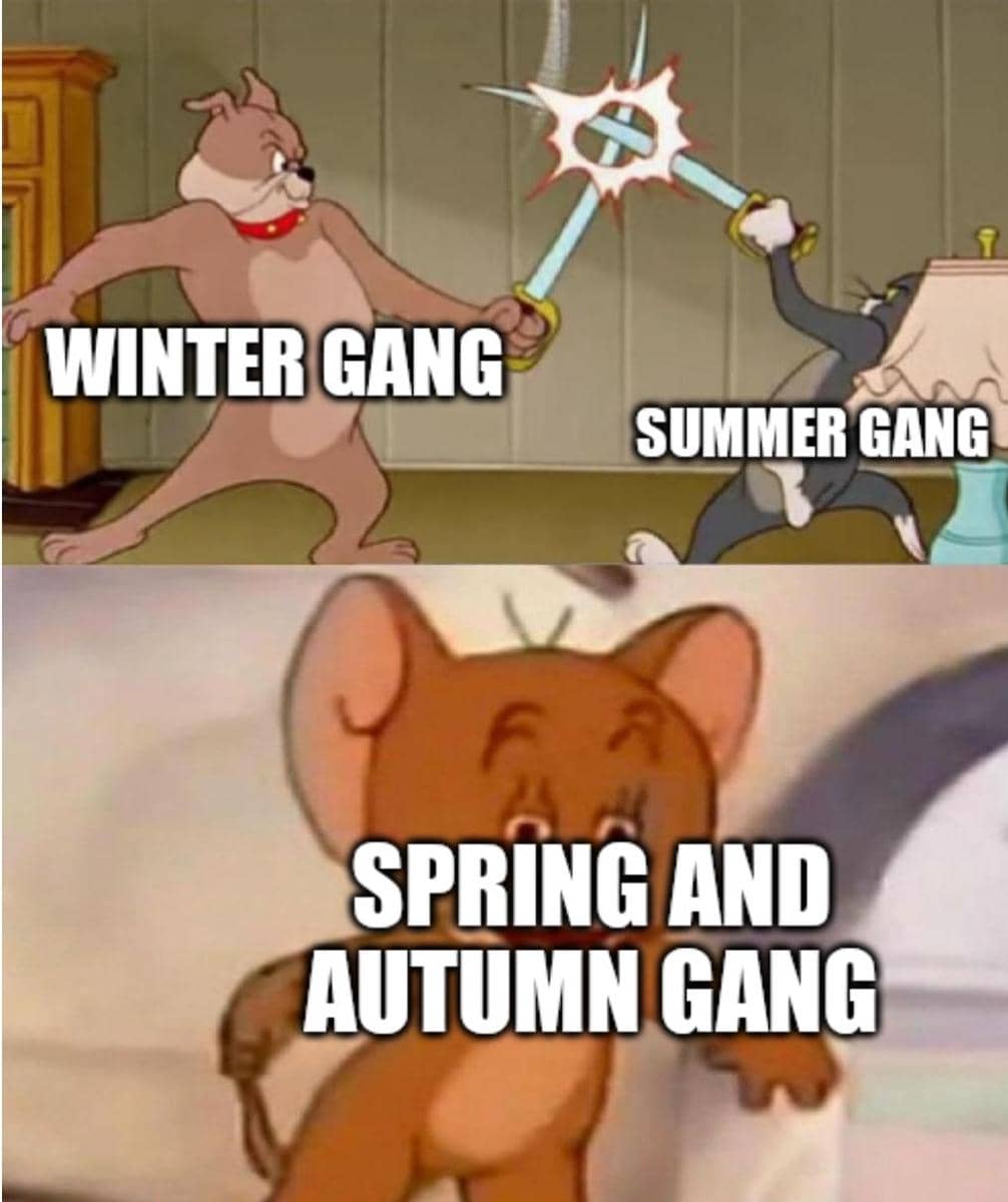 meme kartun tentang musim panas