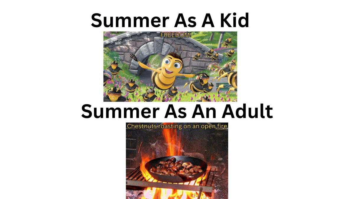 meme kartun tentang musim panas