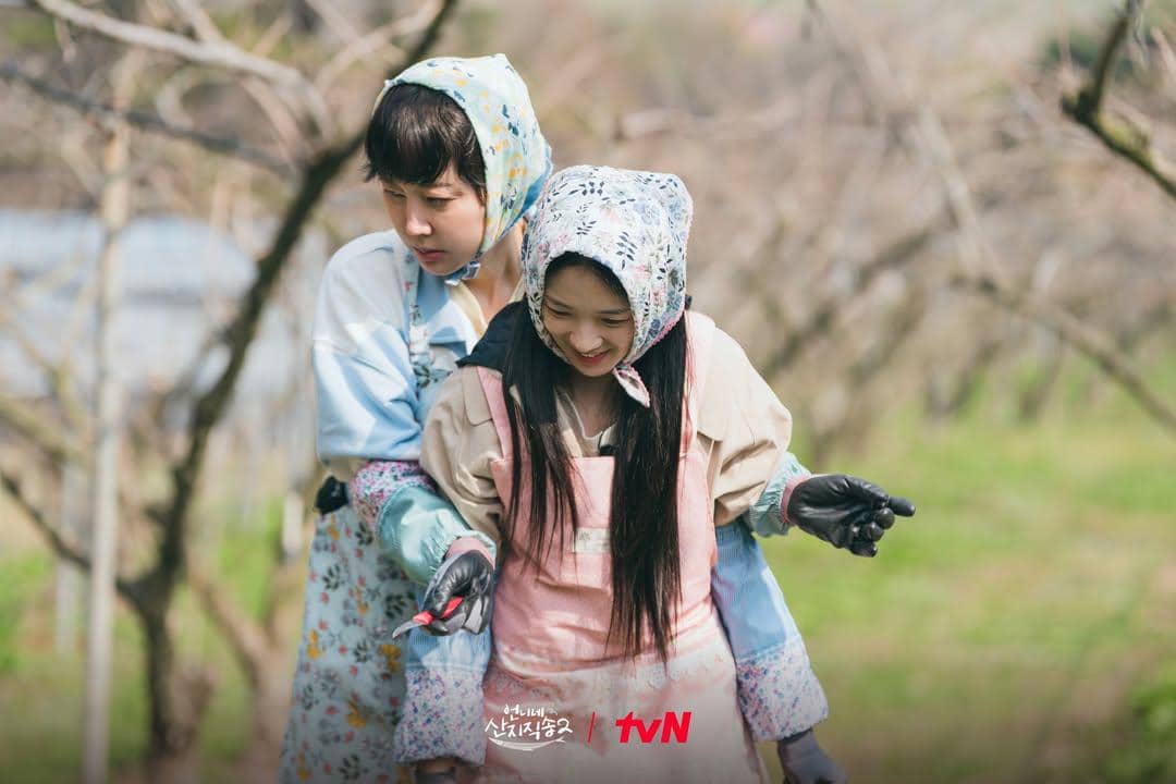 cuplikan reality show Fresh off the Sea 