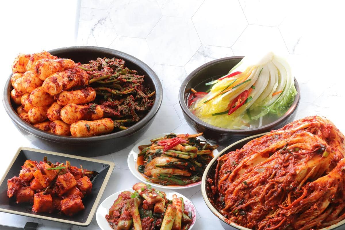 ilustrasi berbagai jenis kimchi
