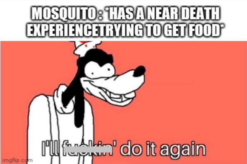 8 Meme Kartun tentang Nyamuk, Hewan Paling Caper!
