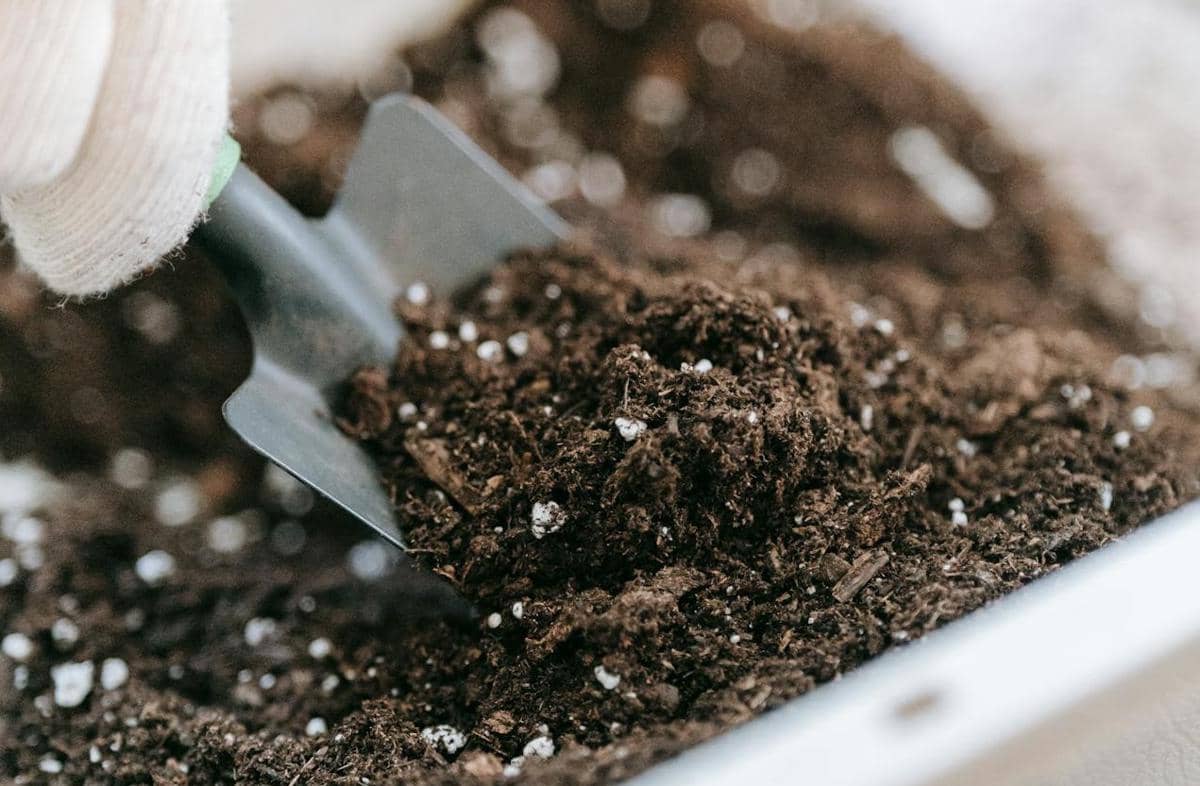 illustrasi tanah subur dan gembur 